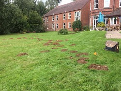 Mole catching in East Sussex