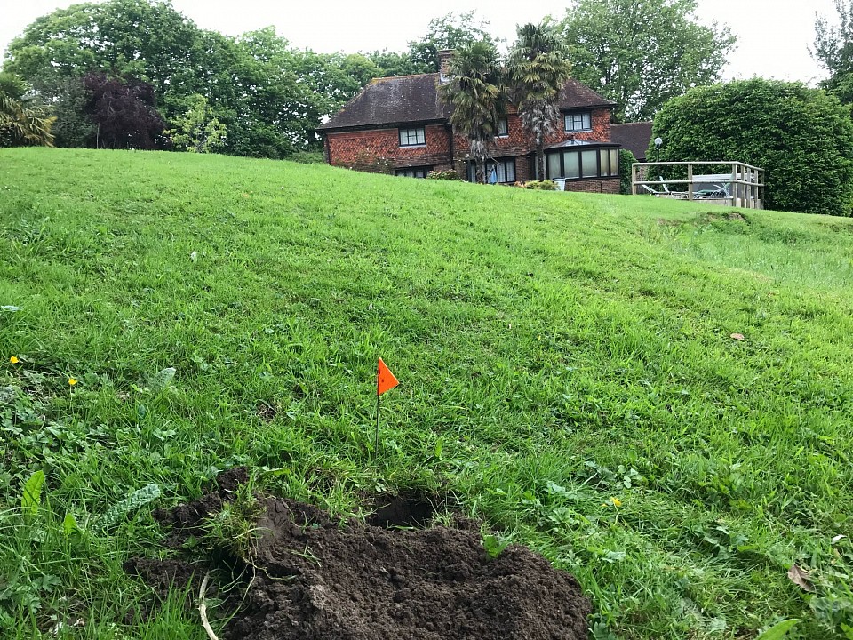 Traditional Mole control