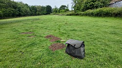 Traditional Mole Control