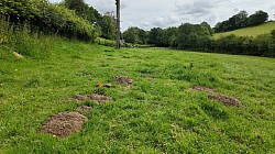 Traditional Mole Control