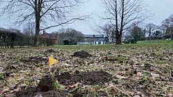 Traditional Mole Control